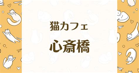 青梅市で癒しのひとときを！おすすめの猫カフェ徹底ガイド