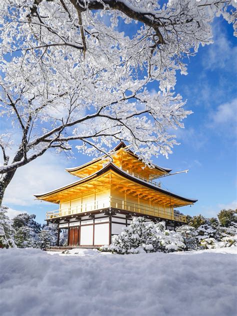 青葉台の花の雪：その美しさと見どころ