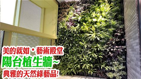 青青花園8888：室內外綠化新創意，打造生機盎然的綠色天地