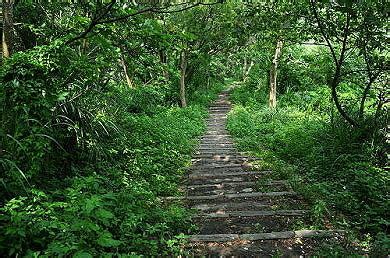 青青草原步道：漫步在四季變幻的大自然畫布上