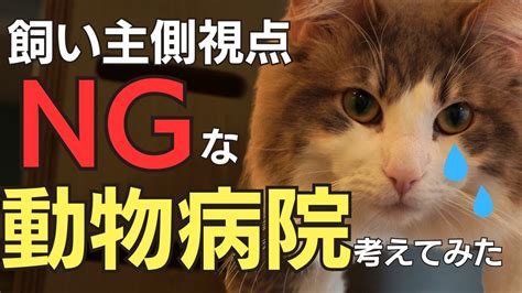 静岡の信頼できる動物病院ガイド: 飼い主向けのお役立ち情報