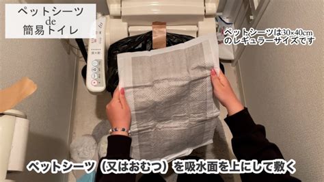 非常時に備える！ペットシーツを使った簡易トイレの作り方