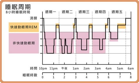 非快速動眼睡眠（NREM）