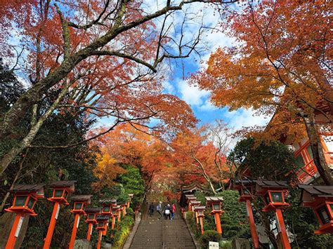 鞍馬寺貴船神社：京都靈氣秘境，見證千年歷史與自然奇觀