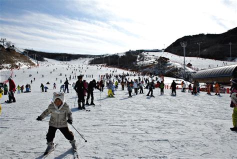 韓國滑雪勝地全覽：體驗冬季仙境的非凡冒險