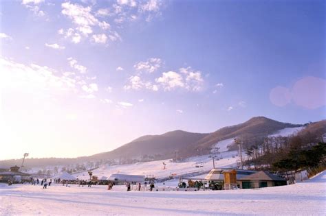 韓國滑雪場：體驗冬季仙境的指南