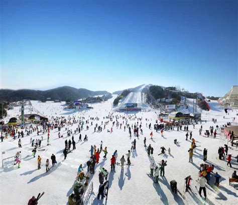 韓國滑雪，體驗冬季運動的魅力