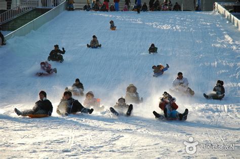 韓國滑雪：令人驚豔的冬季體驗