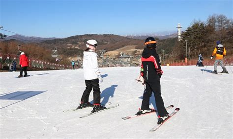 韓國滑雪：冬季冒險愛好者的天堂