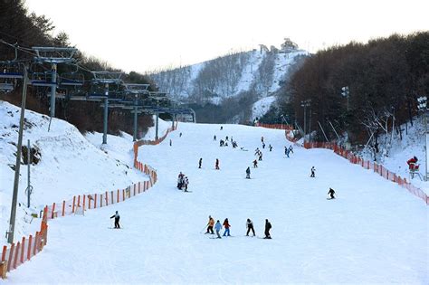 韓國滑雪：冬季冒險的絕佳目的地