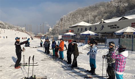 韓國滑雪：冬季奇觀，盡情享受雪上樂趣