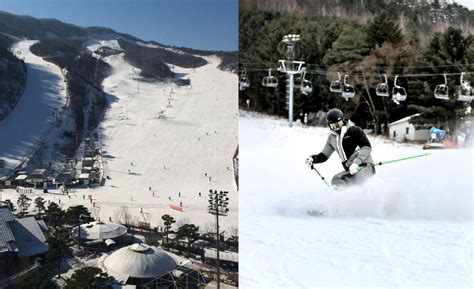 韓國滑雪：冬季樂園，盡享冰雪樂趣