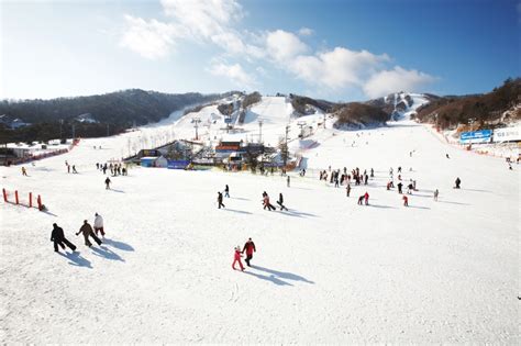 韓國滑雪：冬季運動天堂