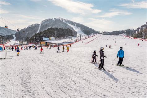 韓國滑雪：冬季運動的聖地