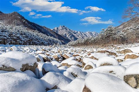 韓國滑雪：探索白雪覆蓋山脈的驚險刺激