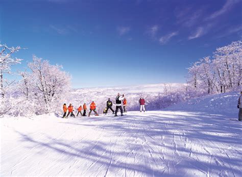 韓國滑雪：滑出雪白的浪漫