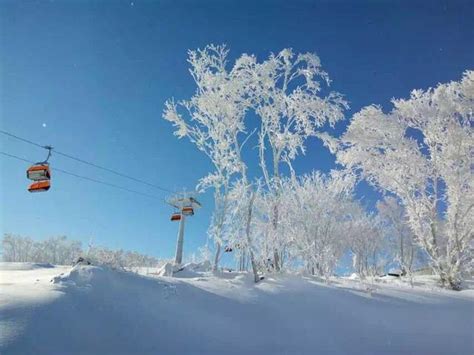 韓國滑雪：白雪皚皚的冒險之旅