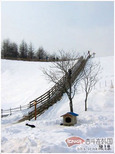 韓國滑雪：白雪皚皚的奇幻冒險