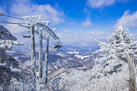 韓國滑雪：白雪紛飛的冬季天堂