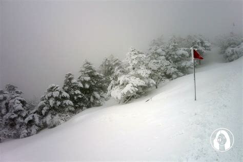 韓國滑雪：白雪覆蓋的仙境，讓您盡情玩樂