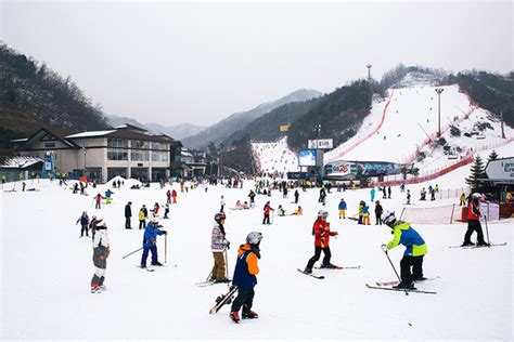 韓國滑雪：銀白世界的極致享受