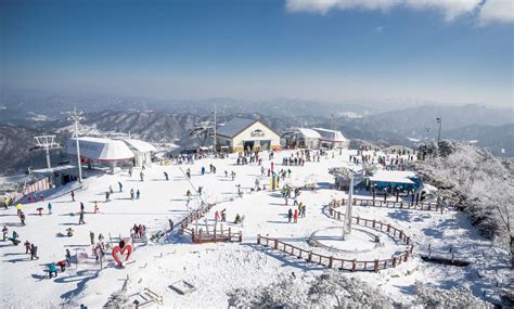 韓國滑雪：體驗亞洲頂尖的滑雪勝地