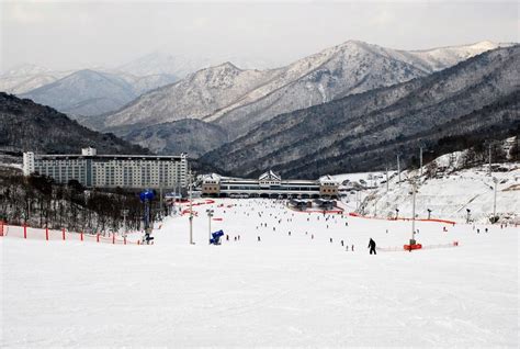 韓國滑雪：體驗冬季仙境的極致快感