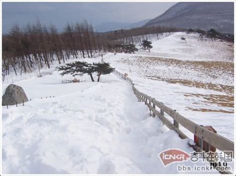 韓國滑雪：體驗白雪皚皚的奇觀