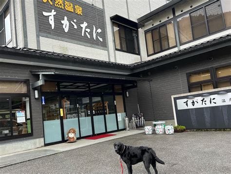 須賀谷温泉で愛犬と癒しのひとときを