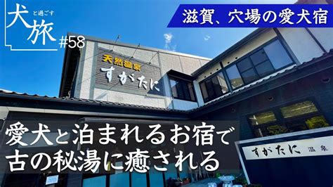 須賀谷温泉で愛犬と過ごす極上のひととき: ペット連れ旅行のための完全ガイド