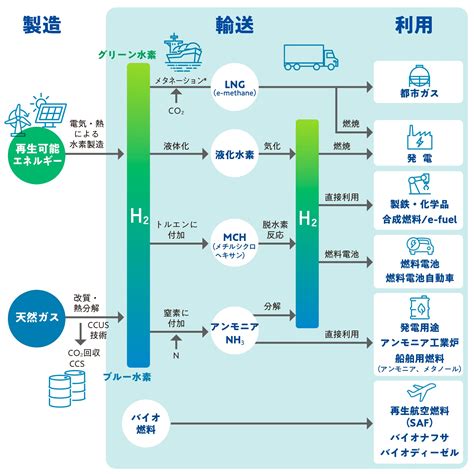 風靡全球の「プリプリ」現象：次世代アプリケーションへのインスピレーション