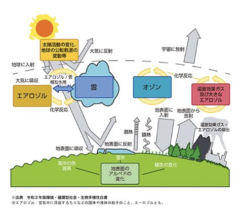 飛び散りの原因と影響