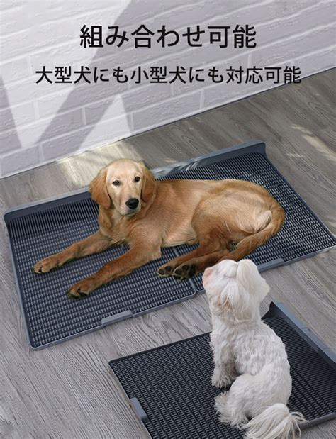 飛び散り防止犬トイレ