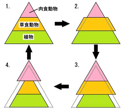 食べ物が冷たく保たれる：