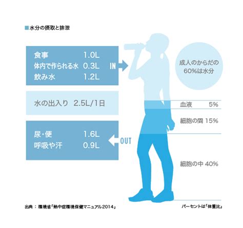 飲料水の重要性