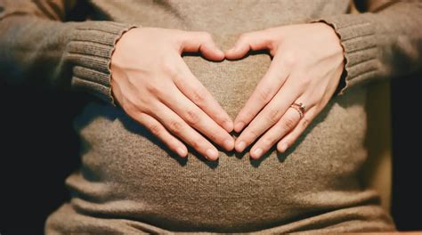 飼い主の妊娠と愛犬の変化