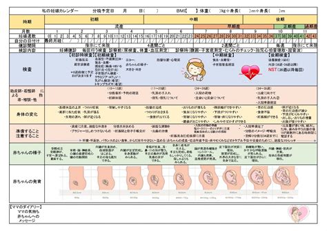 飼い主の妊娠期における犬の身体的・行動的変化