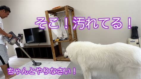 飼い主の監督徹底