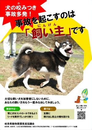 飼い犬による咬傷事故、深刻化の傾向に