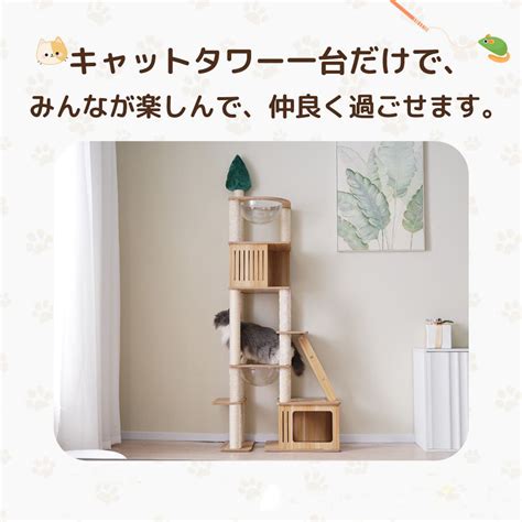 飼い 猫 グッズ