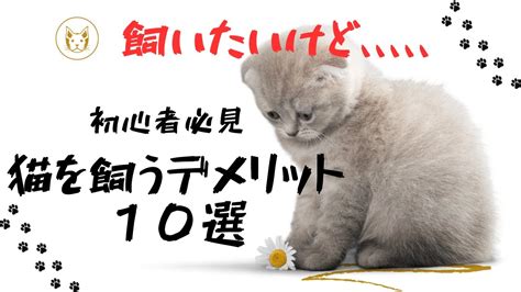 飼う前に知っておきたいこと