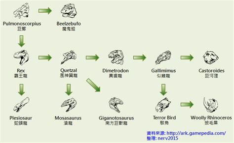 飼料（Kibble）中文