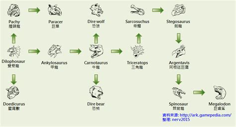 飼料（Kibble）中文介紹