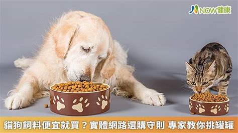 飼料：寵物食品的基石