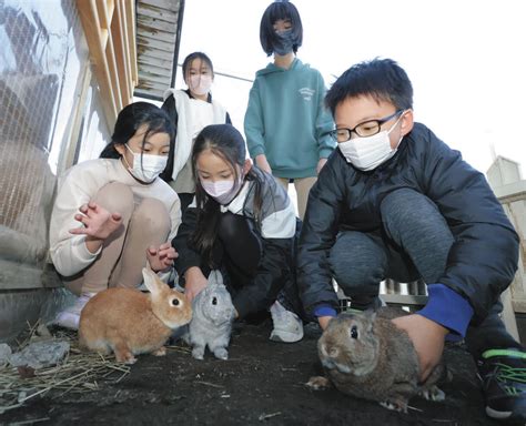 飼育クラブのすべて: 魅力、メリット、効果的な戦略