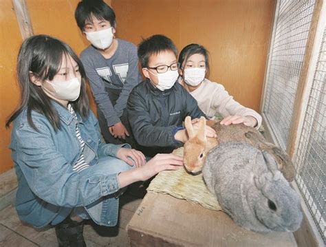 飼育クラブ：子供たちの成長と学習を促進する