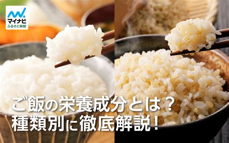 餌とご飯の違いを徹底解説！ペットの健康と栄養のためのお役立ち情報