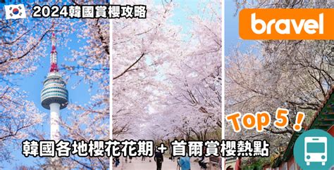 首爾櫻花盛開攻略：賞花指南、交通、住宿與注意事項