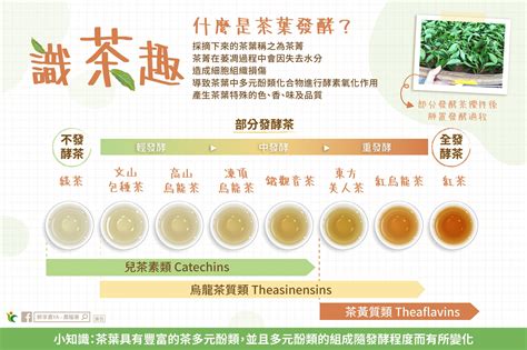 香氣之源：茶葉中的化合物