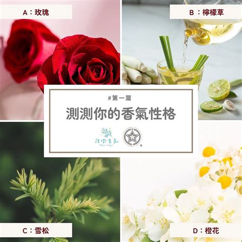 香氣的力量：喚醒感官，打造難忘體驗